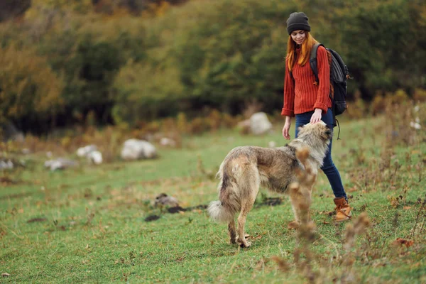 Жінка туристка з собакою, що йде в природі подорожі проходять свободу пригод — стокове фото