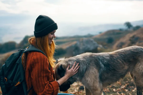 Mujer alegre turista al lado del perro divertido juegos de amistad —  Fotos de Stock