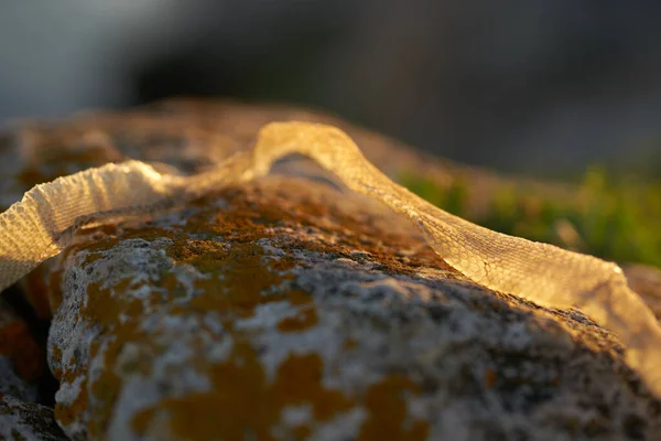 Pele seca de uma cobra na areia na natureza nas montanhas — Fotografia de Stock