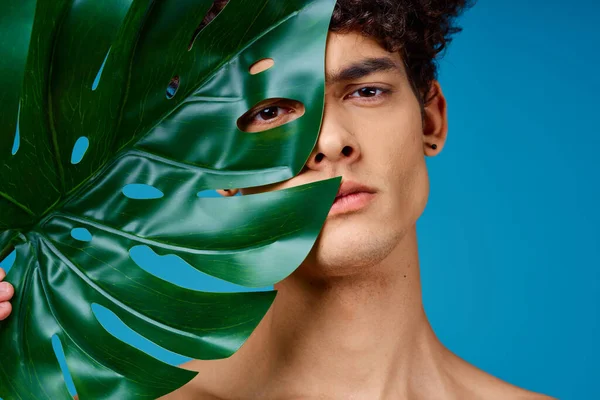 Hombre guapo hombros desnudos hoja verde piel clara fondo azul —  Fotos de Stock