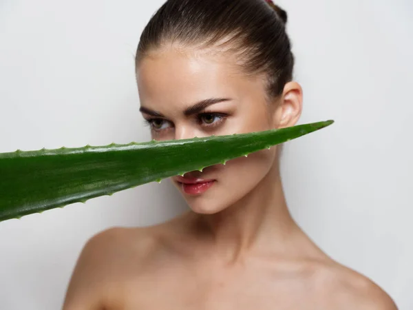 Retrato de mujer bonita cerca de hoja de aloe verde piel limpia cosmetología hombros desnudos — Foto de Stock