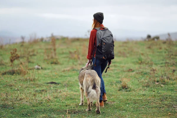 Mujer excursionista paseante perro naturaleza montañas viaje amistad vacaciones —  Fotos de Stock