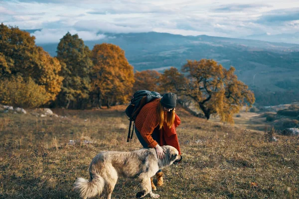Turista mujer junto a perro y paseo viaje de amistad —  Fotos de Stock