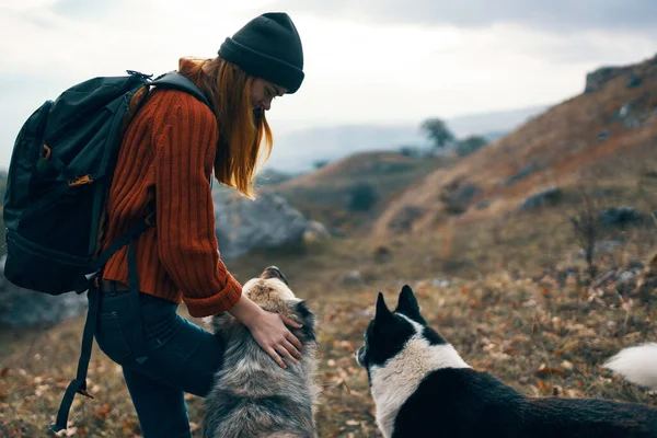 Весела жінка на відкритому повітрі гірські собаки подорожують дружбою — стокове фото