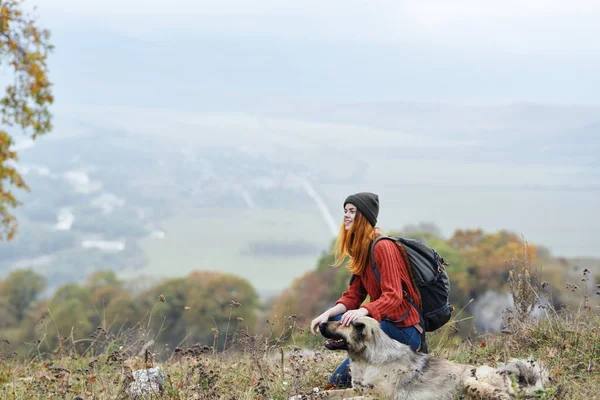 Mujer excursionista admira la naturaleza en las montañas junto a la amistad perro —  Fotos de Stock