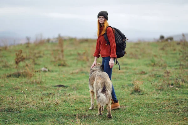 Mujer excursionista paseante perro naturaleza montañas viaje amistad vacaciones —  Fotos de Stock