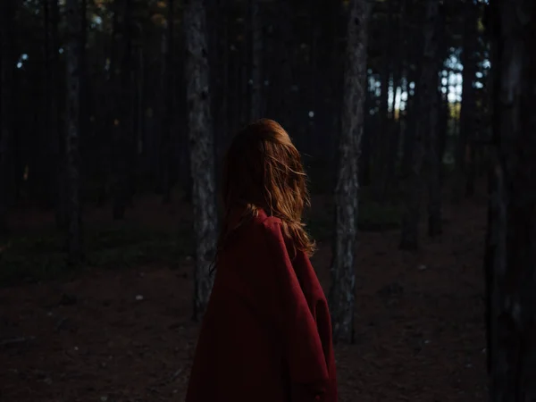 Una mujer viaja en el bosque por la noche con una tela escocesa roja sobre sus hombros, vista hacia atrás —  Fotos de Stock
