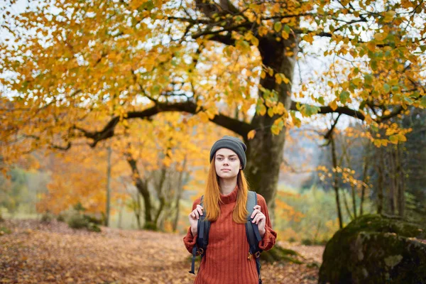 Resenär med en ryggsäck vilar i höstskogen i naturen nära träden — Stockfoto