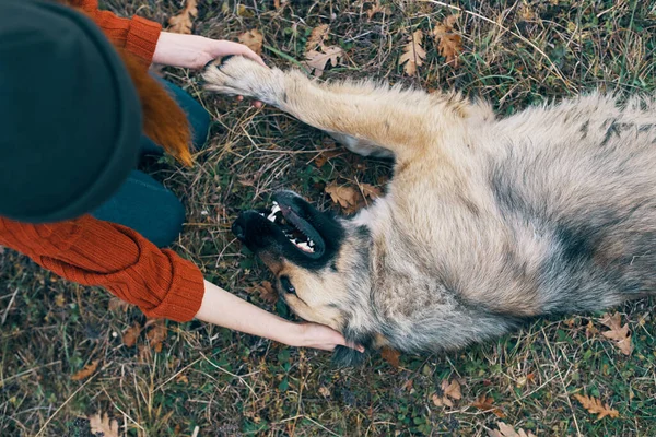 Kann mich eine Frau Touristin in der Natur spielen mit einem Hund Reisefreundschaft — Stockfoto