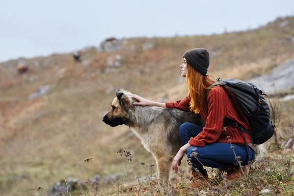 在大自然的高山上，女徒步旅行者坐在狗旁边 — 图库照片