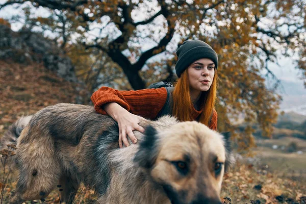 Mulher Alegre Caminhante Com Cão Foto Alta Qualidade — Fotografia de Stock