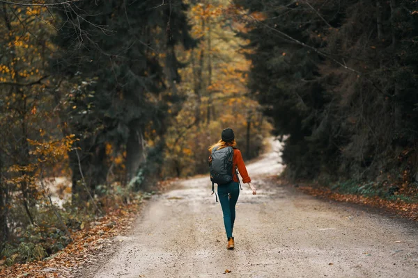 Donna viaggia nella foresta autunnale sulla strada paesaggio alberi alti modello zaino — Foto Stock