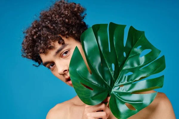 Hombre guapo con pelo rizado hombros desnudos hoja verde piel clara —  Fotos de Stock