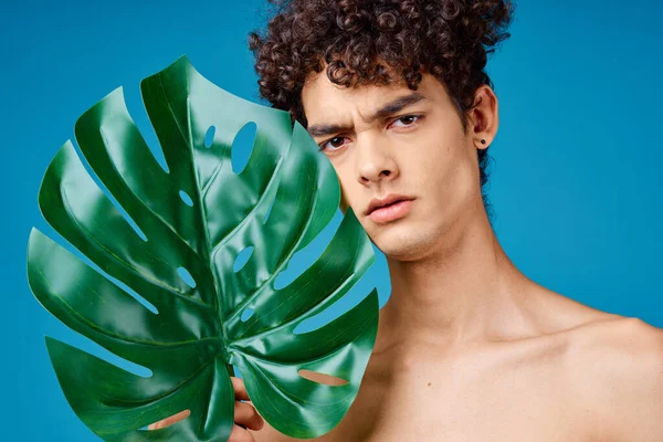 Hombre con pelo rizado hombros desnudos hojas verdes ecología —  Fotos de Stock