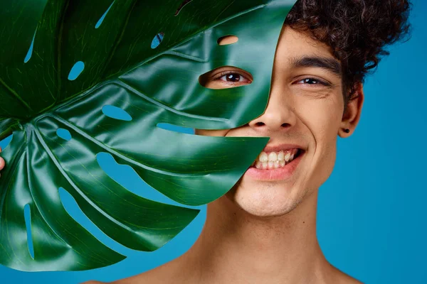 Hombre guapo hoja verde cara primer plano fondo azul —  Fotos de Stock