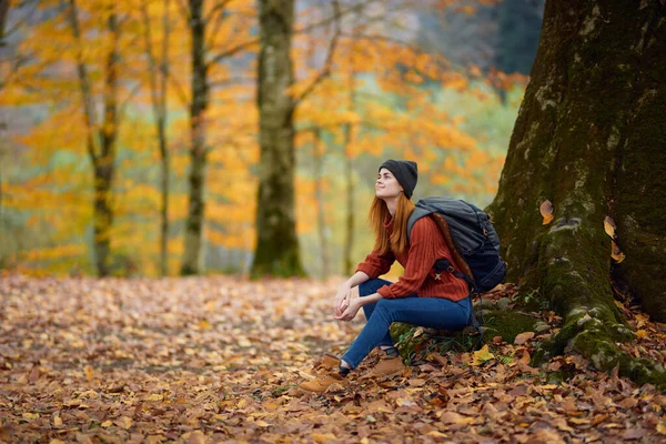 Młoda kobieta w dżinsach czapki swetry z plecakiem na plecach pod drzewem w jesiennym lesie — Zdjęcie stockowe