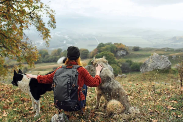 Mujer excursionista con una mochila en la naturaleza acariciando un viaje de perro —  Fotos de Stock