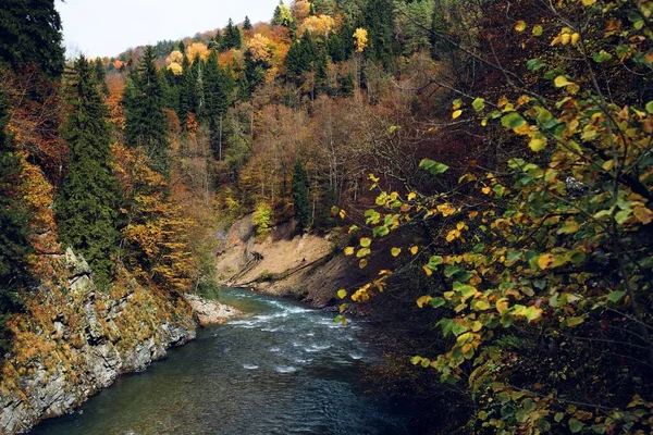 Jesienny las góry natura rzeka krajobraz — Zdjęcie stockowe