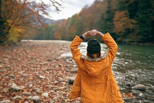 女人在秋天的森林里把手伸向大自然 — 图库照片