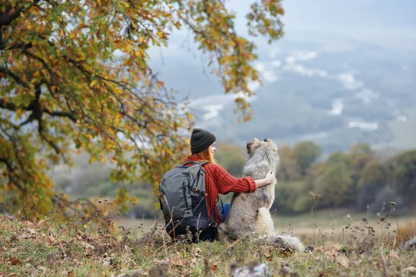 Vrouw Wandelaar Naast Een Hond Bergen Bewondert Het Natuurlandschap Hoge — Stockfoto