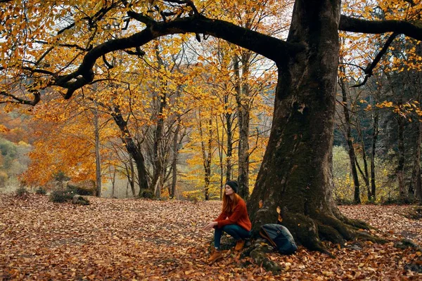 快乐的旅客在大树旁的公园里 — 图库照片
