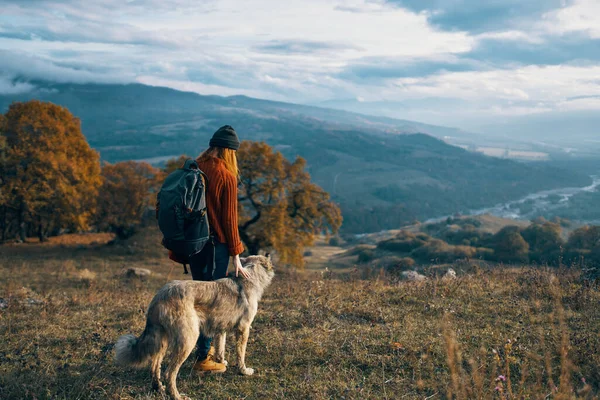 Mujer Excursionista Junto Perro Naturaleza Foto Alta Calidad —  Fotos de Stock