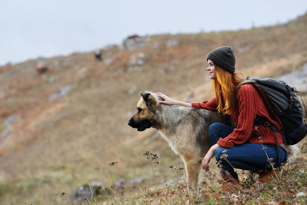 一个带着狗在山上远足的女人 高质量的照片 — 图库照片