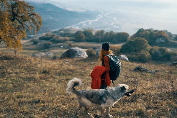 Mujer excursionista en ropa de otoño junto a un perro pasea por las montañas de la naturaleza —  Fotos de Stock