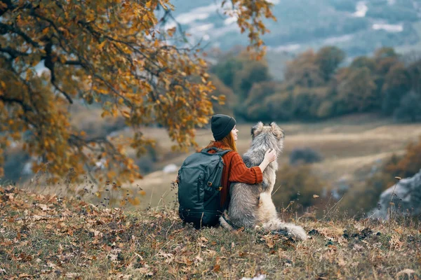 Wanderin mit Rucksack neben Hund bewundert die Natur des Berges — Stockfoto