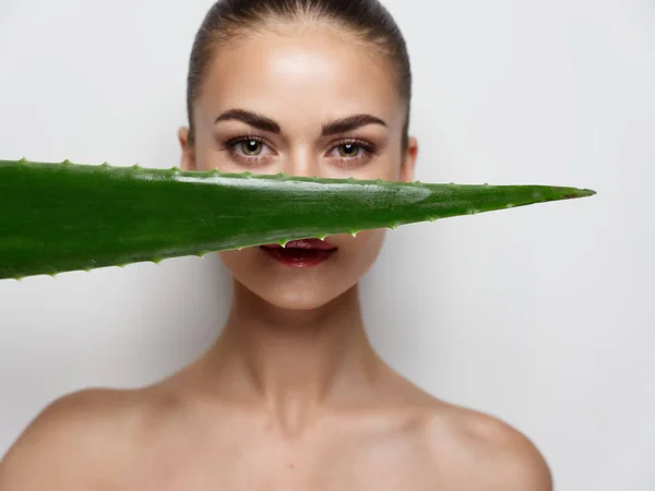 Retrato de mulher bonita perto de folha de aloés verde cosmetologia pele limpa — Fotografia de Stock