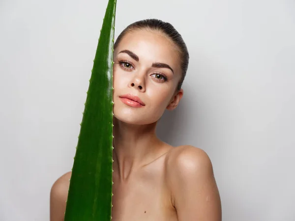 Retrato de mulheres sexy perto de aloe folha nua ombros pele clara — Fotografia de Stock