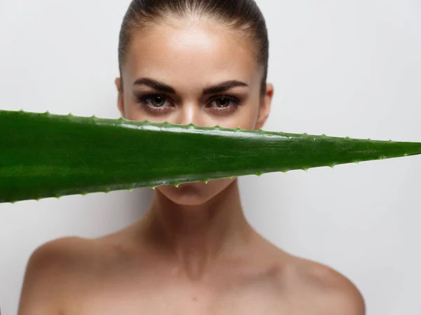 Mujer con hoja verde delante de la cara de aloe vera piel limpia cosmetología hombros desnudos —  Fotos de Stock