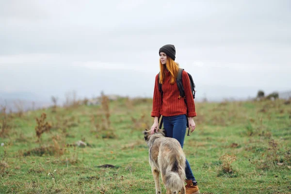 Femme randonneur promeneur chien nature montagnes Voyage amitié vacances — Photo