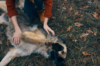 Neşeli kadın turist köpek doğasıyla oynuyor.