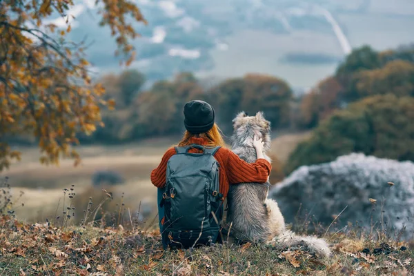 Mujer turista junto a un perro en las montañas viaje paisaje —  Fotos de Stock