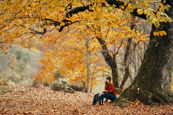 Женщина модель в свитере, джинсах и сапогах сидит на земле возле дерева в парке опавшие листья леса — стоковое фото