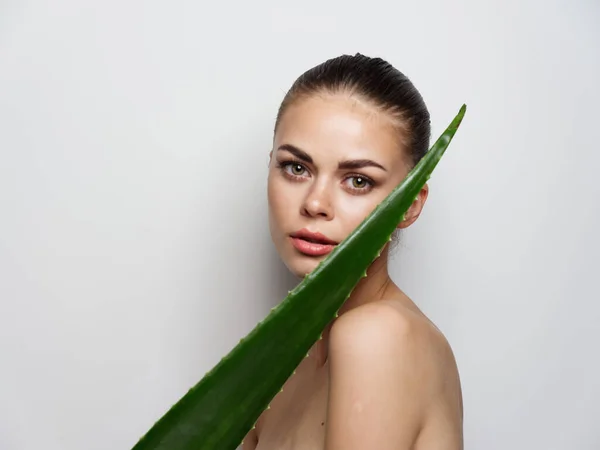 Hoja de aloe verde en hombro de las mujeres y retrato primer plano fondo claro — Foto de Stock