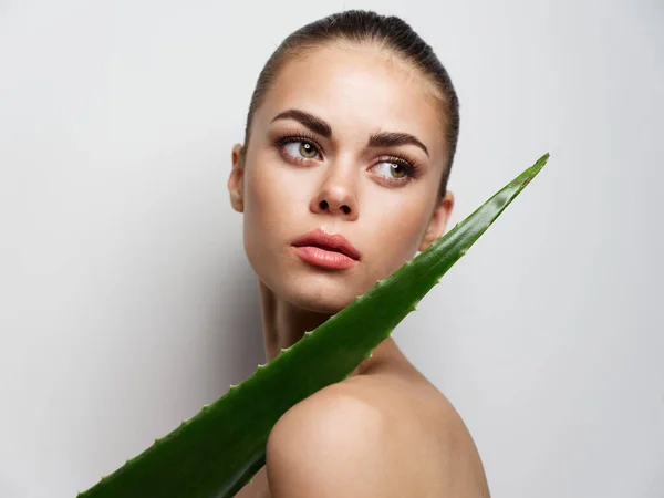 Retrato da jovem mulher rosto maquiagem cosmetologia pele limpa verde folha de aloés vista cortada — Fotografia de Stock