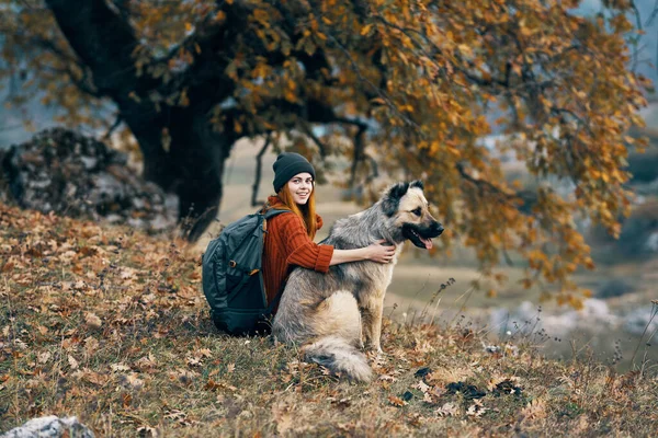 3.带着狗在山上徒步旅行的妇女崇敬大自然 — 图库照片