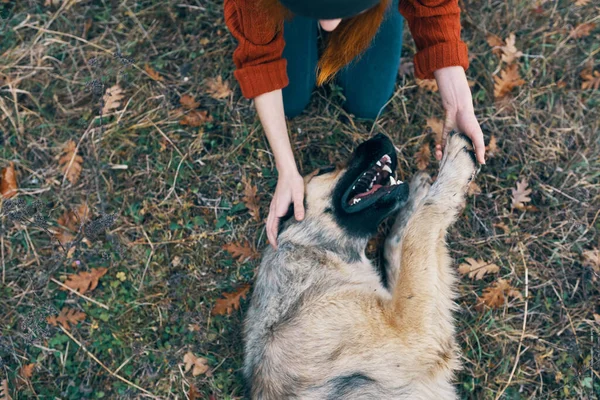 Mulher ao ar livre brincando com cão amizade ar fresco — Fotografia de Stock