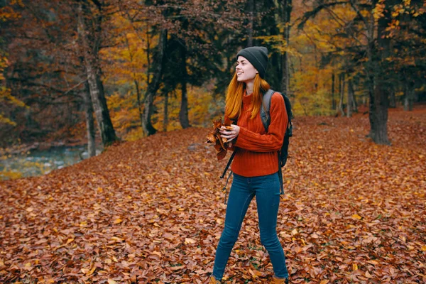 Frau im Pullover Jeans 3 Gesetz auf dem Rücken und Natur im Hintergrund Bäume Wald Modell — Stockfoto