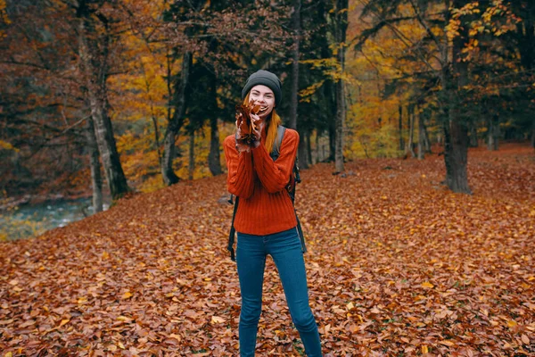 Femme en pull chapeau jeans 3 loi sur le dos et la nature dans le fond arbres forêt modèle — Photo