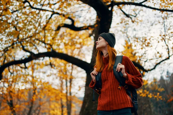 Belle femme dans un pull rouge avec un sac à dos sur le dos près d'un grand arbre en automne feuilles tombées — Photo