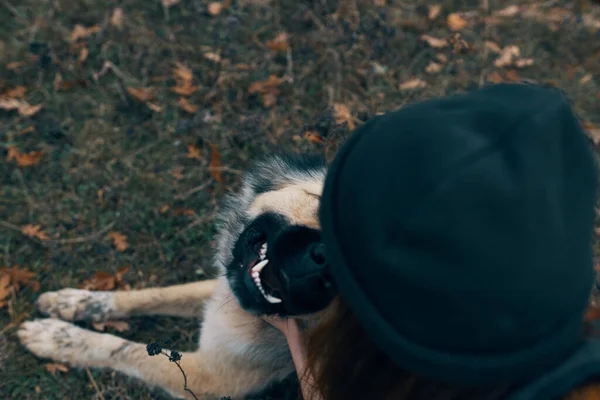 Fröhliche Touristin spielt mit Hund Naturreisen — Stockfoto