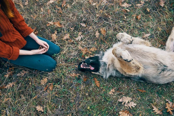 Mulher viagens turísticas brincando com cão diversão natureza — Fotografia de Stock