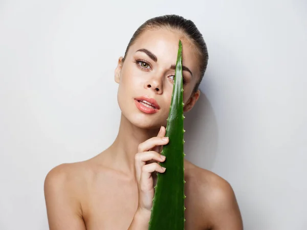 Folha de aloés verde em belas mulheres mão e penteado olhar natural — Fotografia de Stock