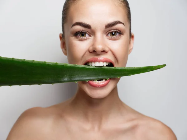 Mulher rói aloe folha nua ombros rosto maquiagem retrato vista frontal — Fotografia de Stock