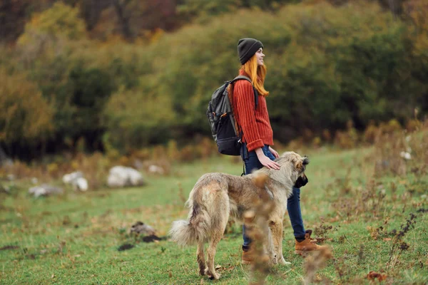 woman hiker walking the dog in nature in the forest travel friendship