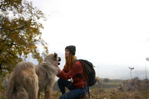 Kadın yürüyüşçüler tivikom doğa dağları manzara gezisi köpek oyunu — Stok fotoğraf