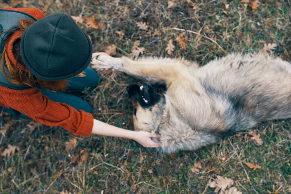 Kobieta turystyka podróż bawiąc się z psem zabawa natura — Zdjęcie stockowe